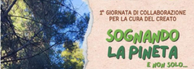 Sognando la Pineta, e non solo…